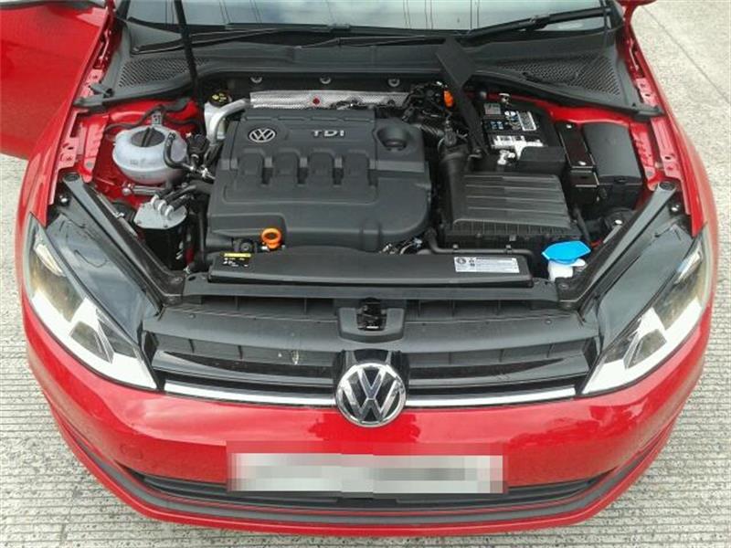 VOLKSWAGEN GOLF PLUS 5M1 2009 - 2025 1.6 - 1598cc 16v TDI CAYB diesel Engine Image